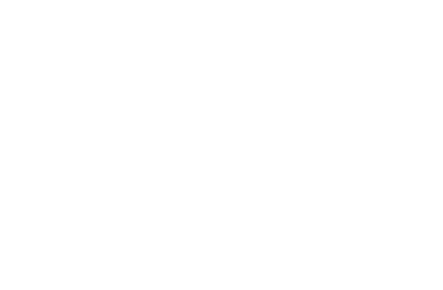 PK Brandmark – White logo